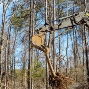 Van Berkel Hijswerken - verreiker boombeheer en onderhoud